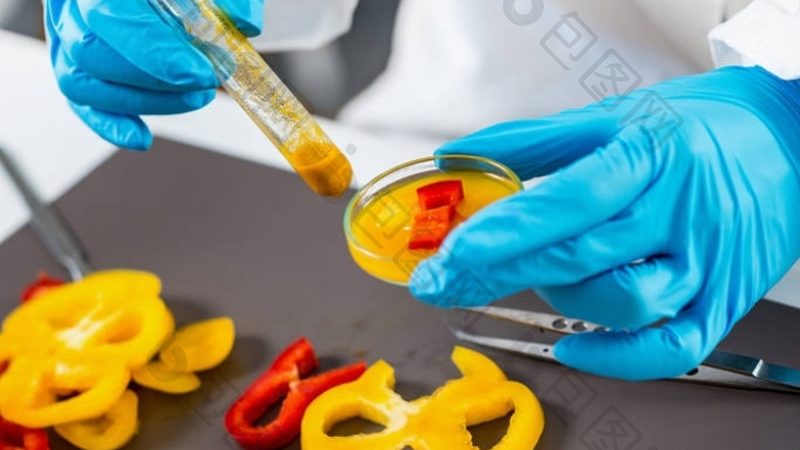 餐饮供应链源头厂家直销批发：揭秘背后的优势与选择要点**
